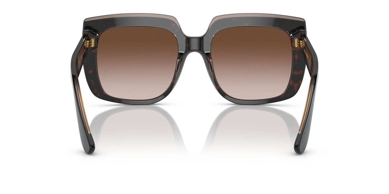 502/13 - Havana - Gradient Brown