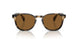 171353 - Brown - True Brown