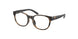 Polo Prep 8549U Eyeglasses