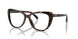 5003 - Tortoise