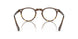 1756 - Brown