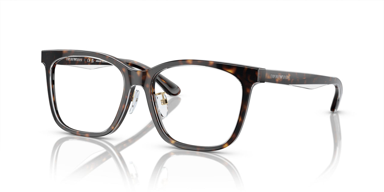 6052 - Tortoise