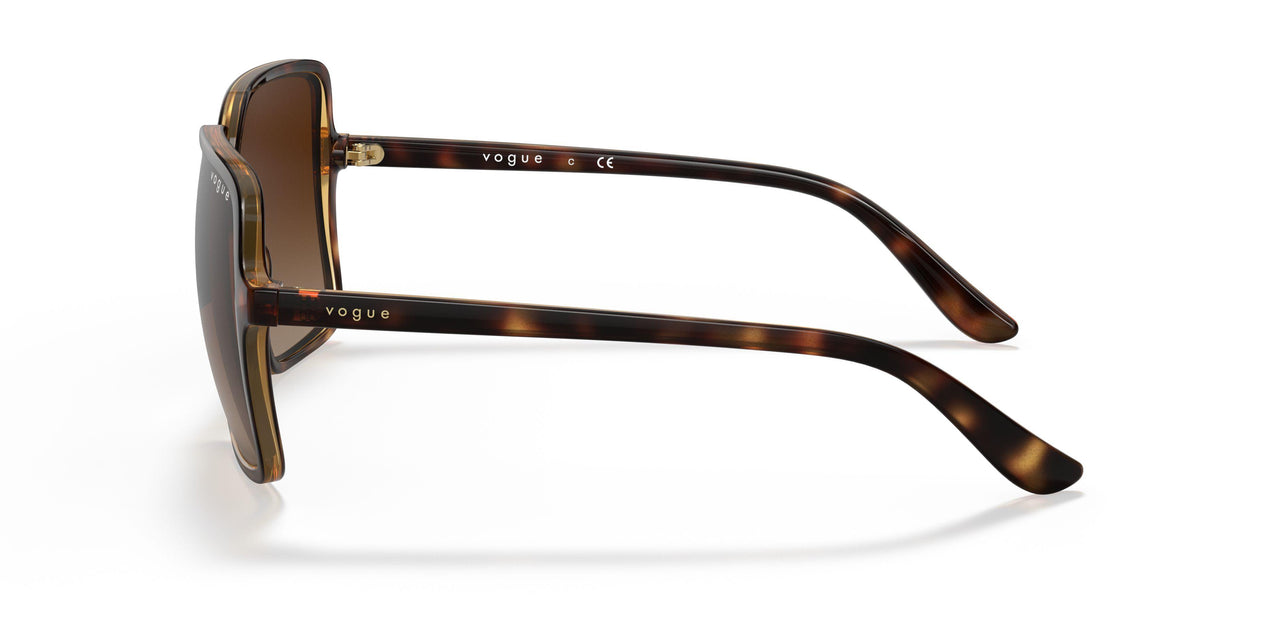 W65613 - Havana - Brown Gradient