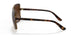W65613 - Havana - Brown Gradient