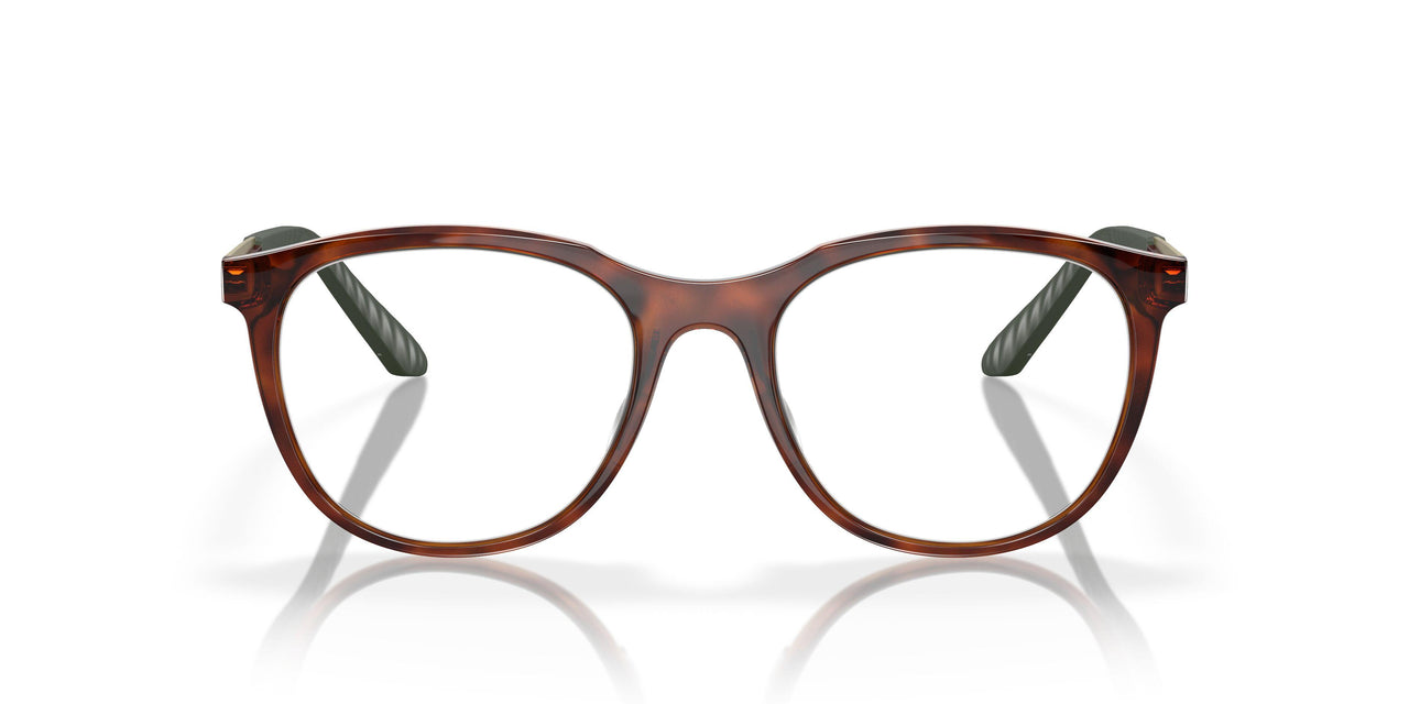 802802 - Tortoise
