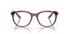 802802 - Tortoise