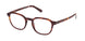 ZEGNA 5284 Eyeglasses