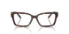 8015 - Tortoise