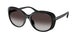 50018G - Black - Gradient Grey