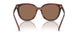 201173 - Tortoise - Dark Brown