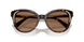 100273 - Brown - Dark Brown