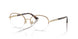 3019 - Brown