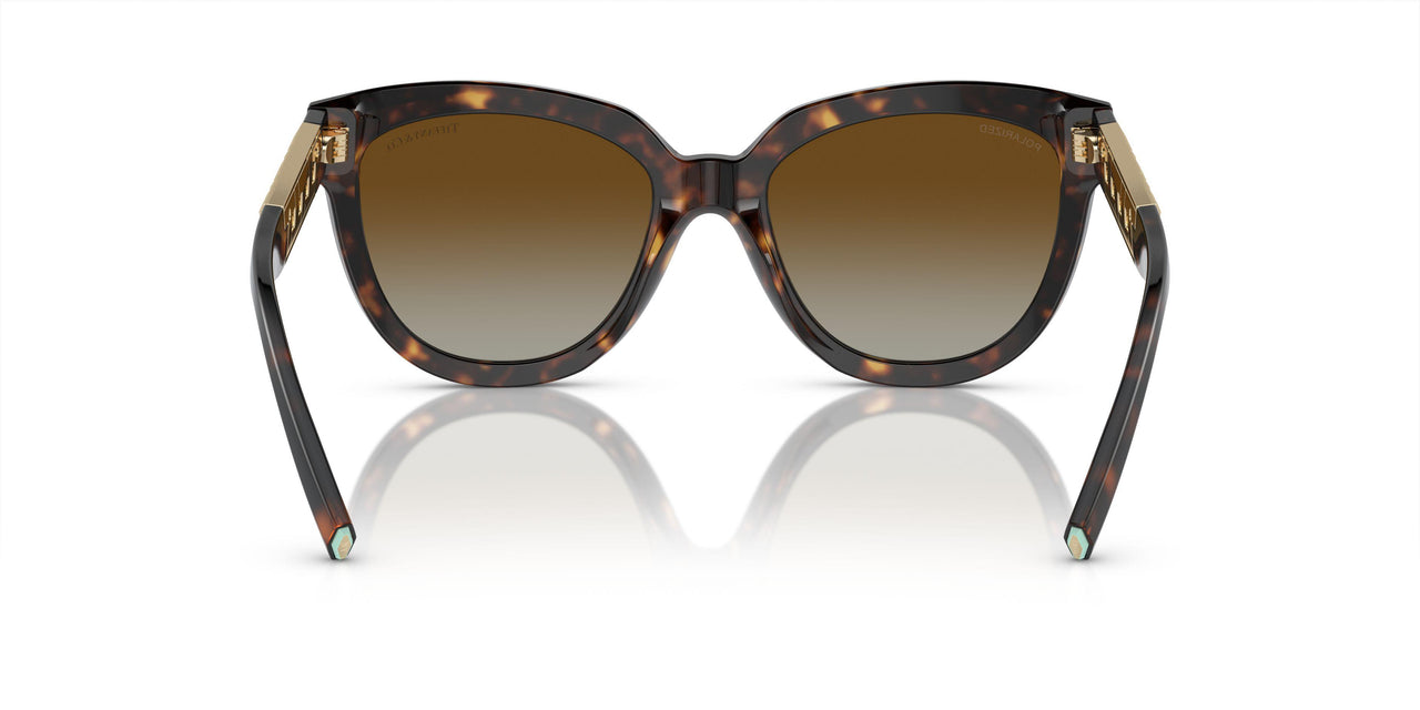 8015T5 - Tortoise - Polar Brown Gradient