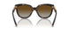 8015T5 - Tortoise - Polar Brown Gradient