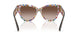 321713 - Tortoise - Brown Gradient