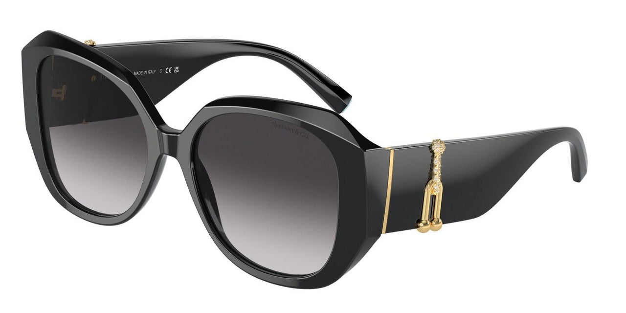 Tiffany tortoise shop shell sunglasses