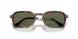 24/58 - Tortoise - Polar Green