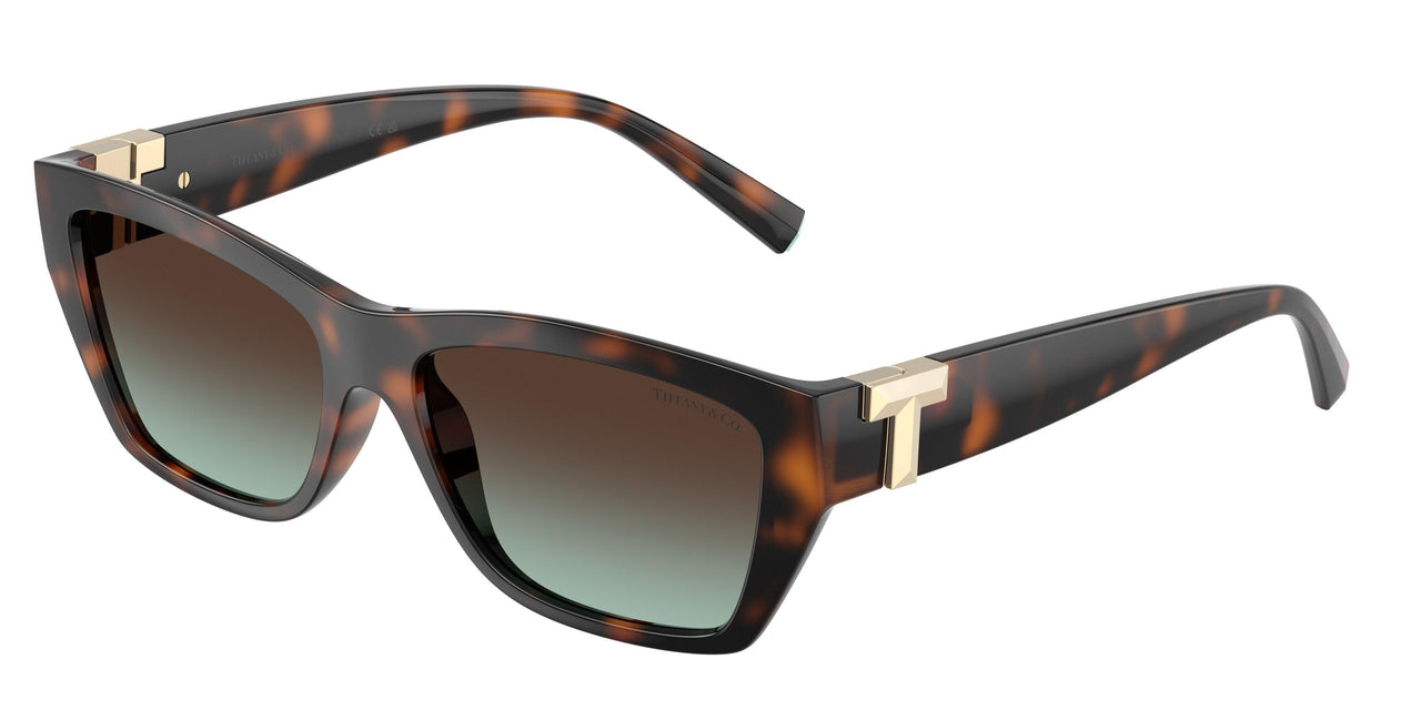 80155D - Tortoise - Azure Gradient Brown