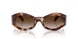 54613B - Tortoise - Brown Gradient