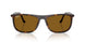 902/33 - Tortoise - Brown