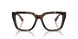 3002 - Brown