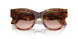 603351 - Brown - Gradient Brown