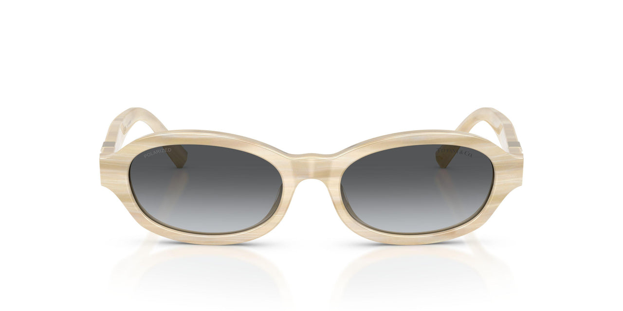 8431T3 - Beige - Polarized Grey Gradient
