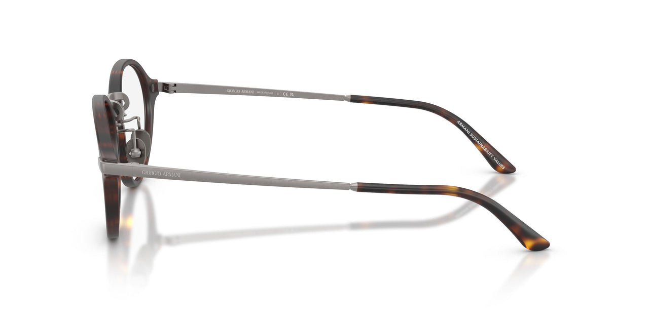6403 - Tortoise