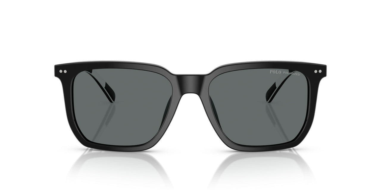 500181 - Black - Polar Dark Grey