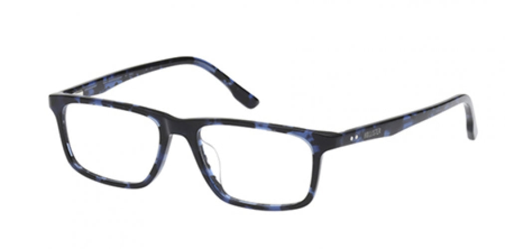 HOLLISTER 50043 Eyeglasses