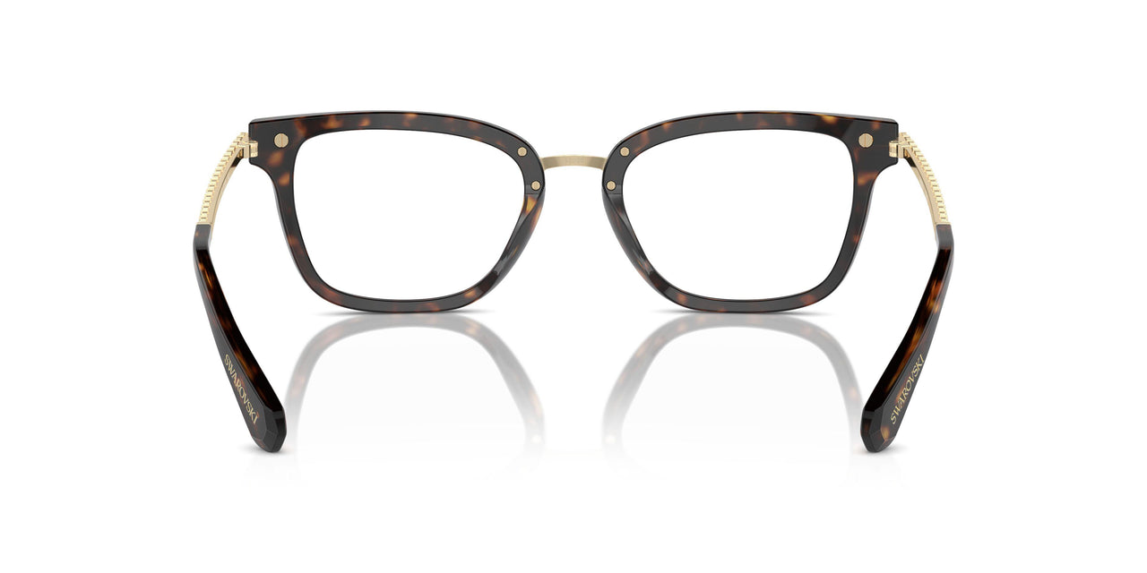 1002 - Brown