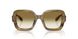 64808E - Green - Clear Gradient Dark Green