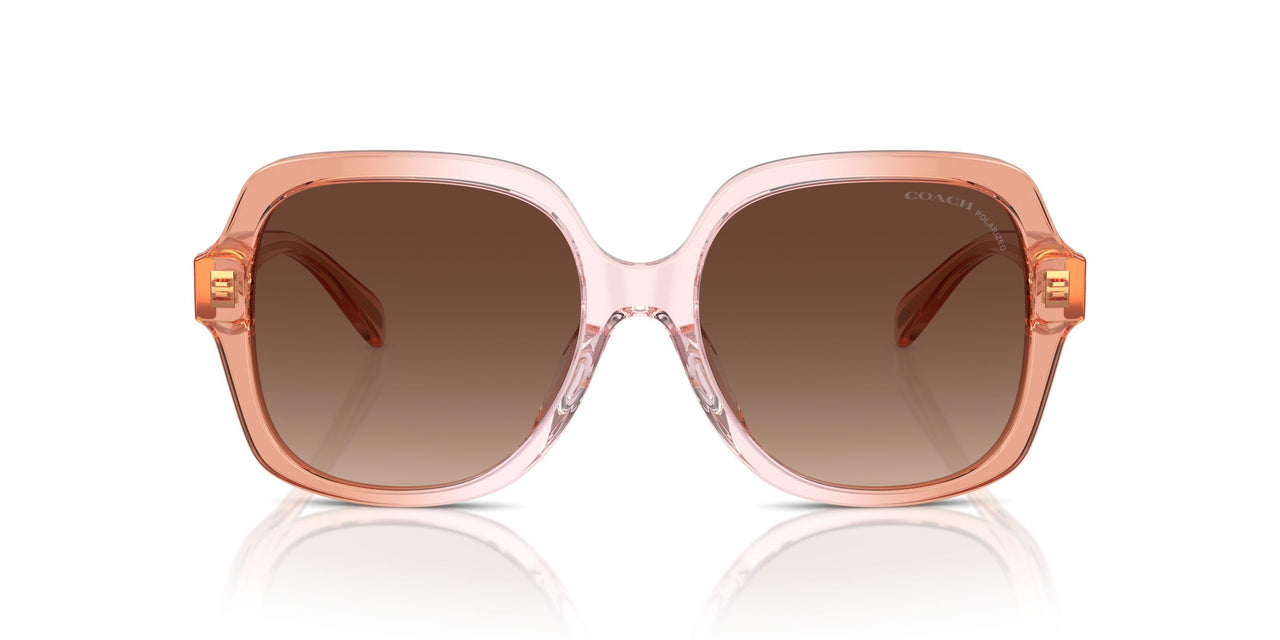 5812T5 - Brown - Brown Gradient Polarized