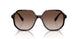 100213 - Tortoise - Brown Gradient