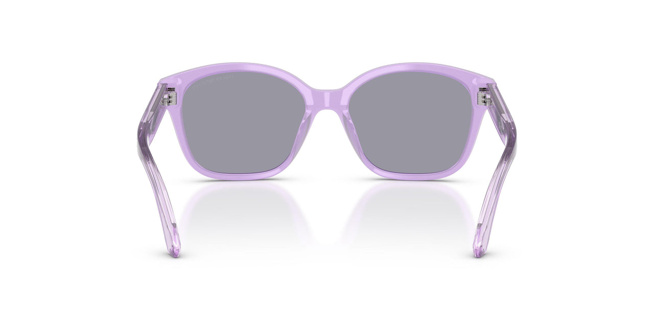 638880 - Violet - Blue