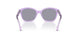 638880 - Violet - Blue