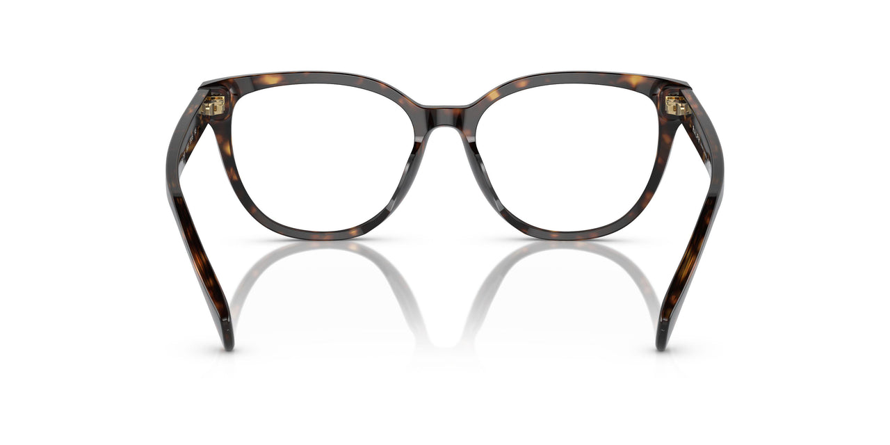 5003 - Brown