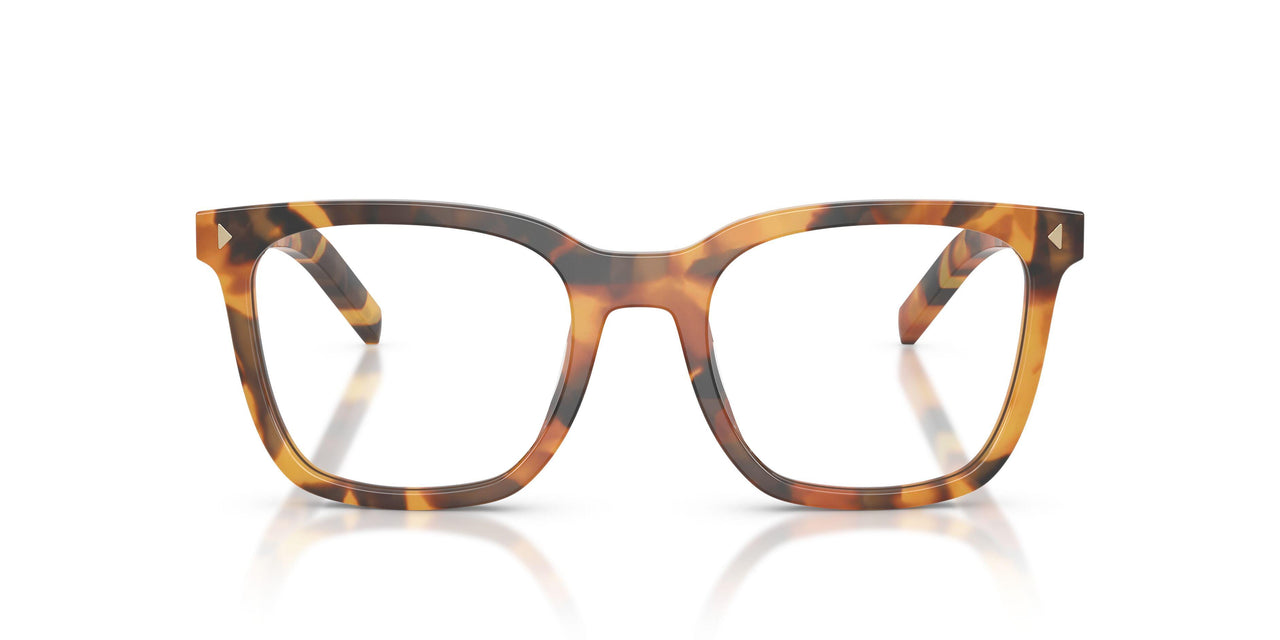 29C1O1 - Tortoise
