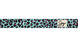 0000155 - Gloss Teal - Happy ML Rose with Silver Spectra Mirror