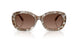 2026T5 - Brown - Polar Light Brown Gradient