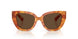 425673 - Tortoise - Dark Brown