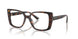 5002 - Tortoise