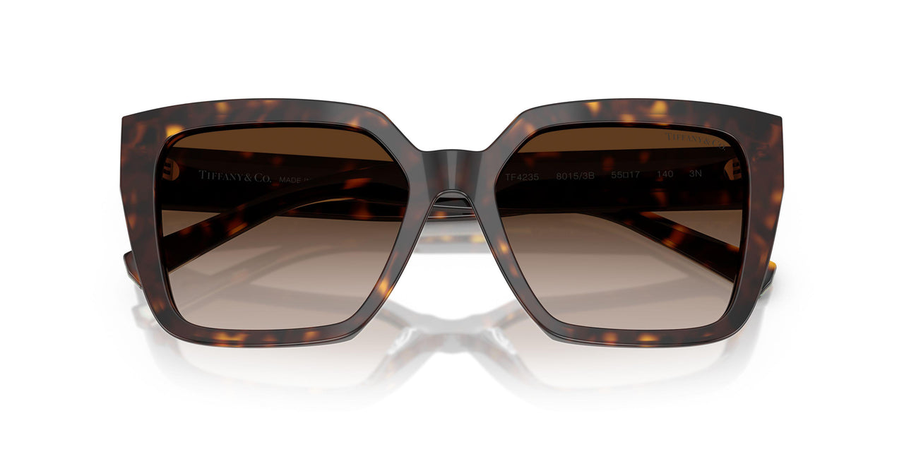 80153B - Tortoise - Brown Gradient