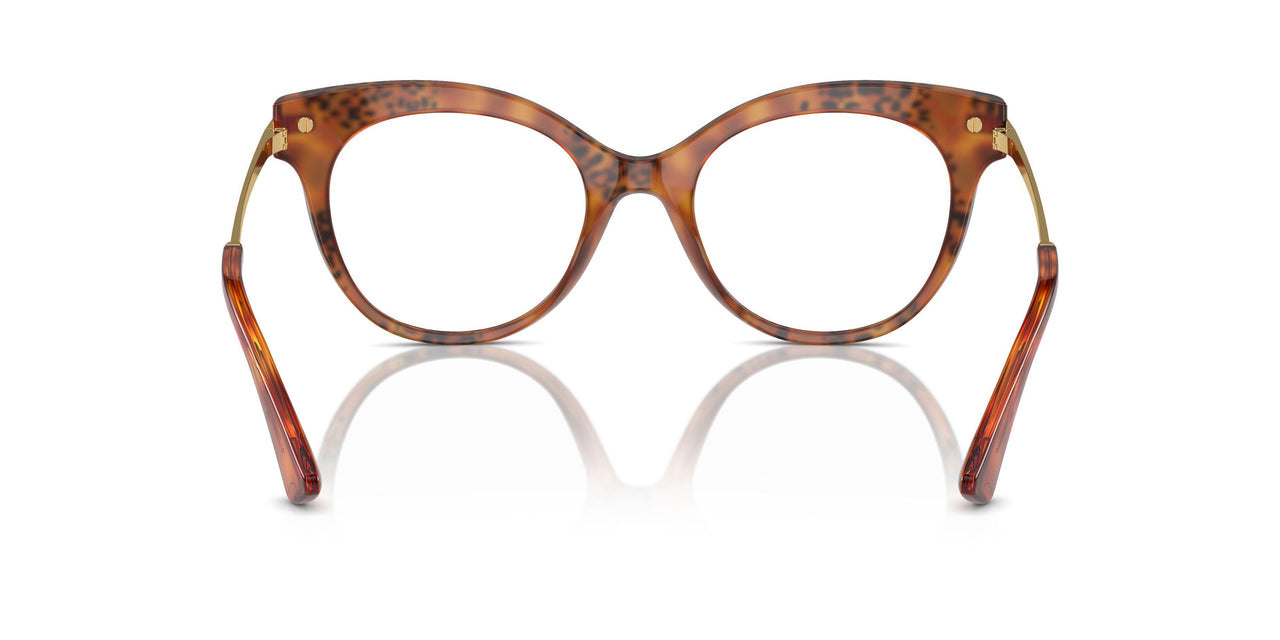 3380 - Tortoise