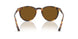 513483 - Havana - Polar Brown