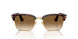 24/51 - Tortoise - Clear Gradient Brown