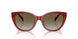 621013 - Violet - Gradient Brown