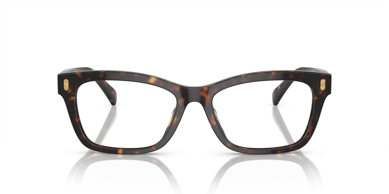 5003 - Brown