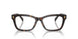 5003 - Brown