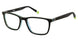 2BB BBBRADY Eyeglasses